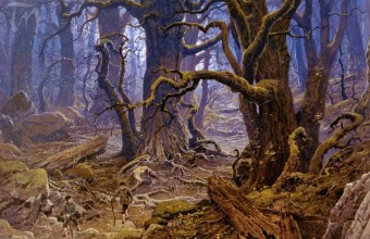 Fangorn Forest